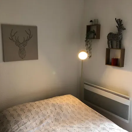 Super Besse Station Le Bessard 2 Quartier Bois De La Reine 5 Couchages * Vassiviere (Puy de Dome)